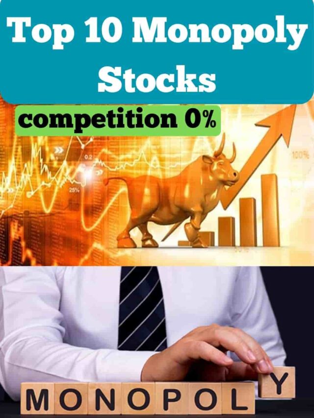 Top 10 Monopoly Stocks in India 2024